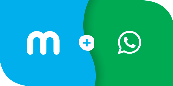 Whatsapp Business funcionando no Meets meets whatsapp