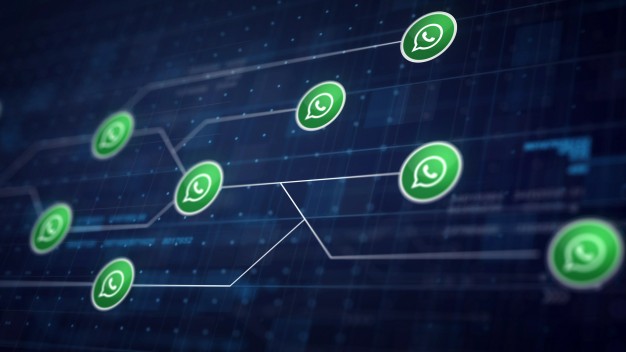 integração oficial do WhatsApp MEETS